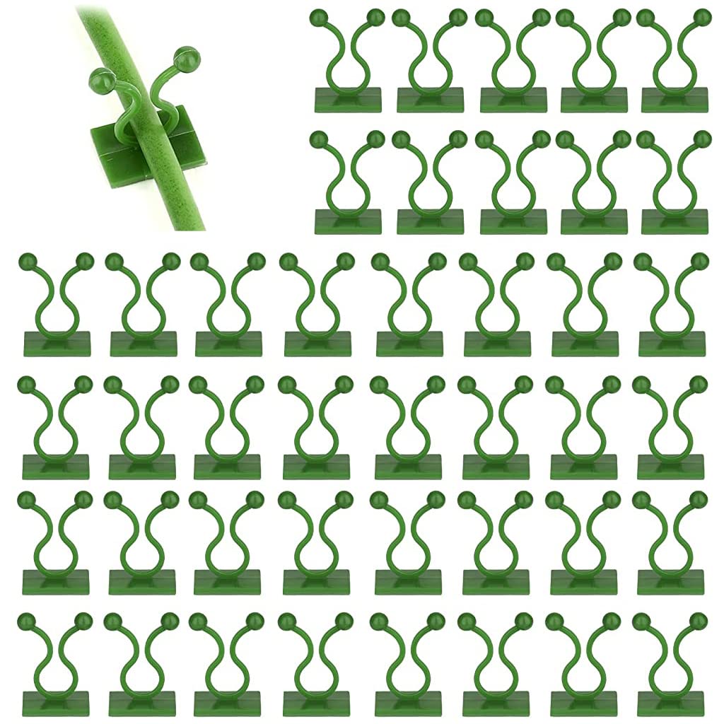 HASTHIP 50Pcs Wall Fixture Clips for Plant Climbing Vine Plant Climbing Wall Fixer Self-Adhesive Hook, Wall Vines Fixture Wall Hook Vines Climbing Clip for Home (Green) HASTHIP 50Pcs Wall Fixture Clips for Plant Climbing Vine Plant Climbing Wall Fixer Self-Adhesive Hook, Wall Vines Fixture Wall Hook Vines Climbing Clip for Home (Green)